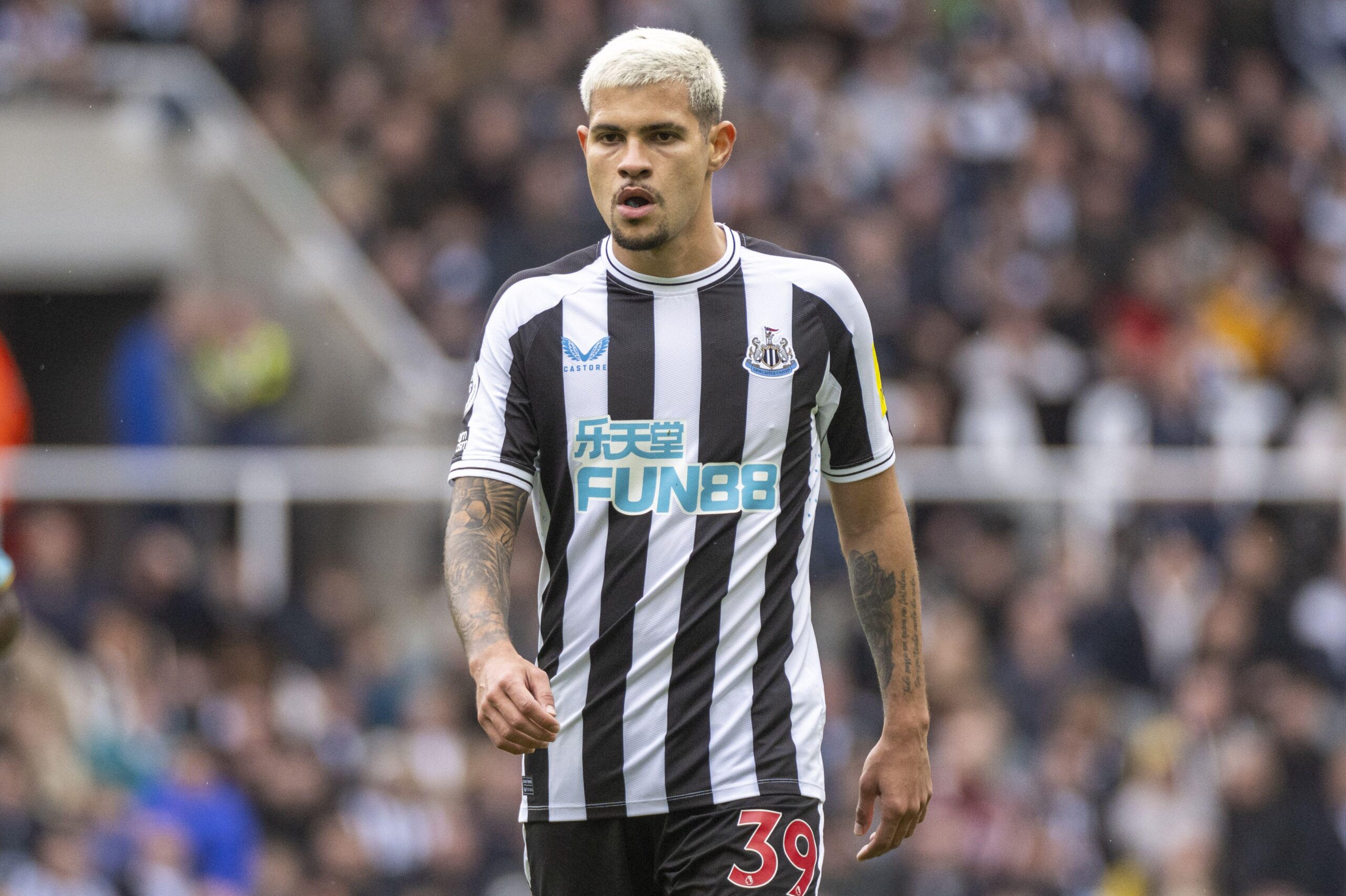 everton newcastle speltips stream