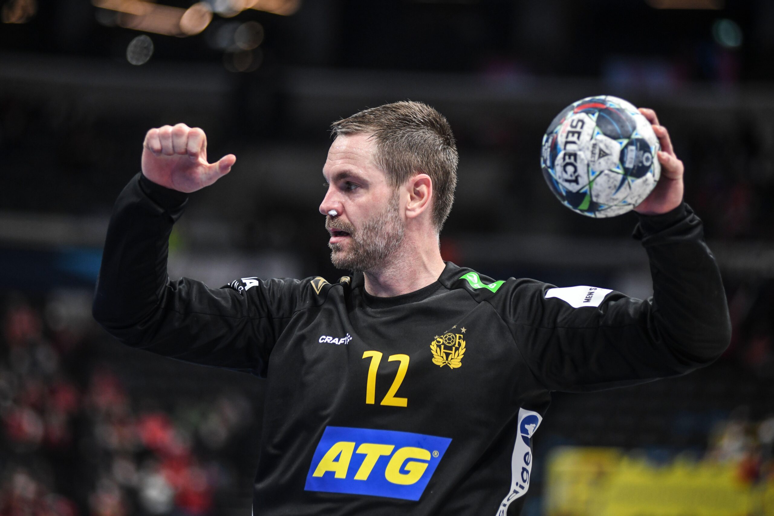 handbolls vm palicka